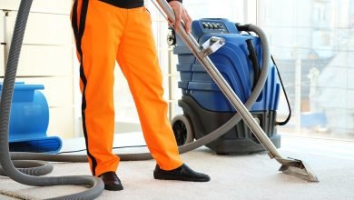 Trust Our Experts for Exceptional Carpet Cleaning Services