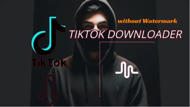 For a TikTok video downloader named "MusicallyDown without watermark," an alternative text could be: "A screenshot of the MusicallyDown interface displaying a TikTok video without any watermarks.